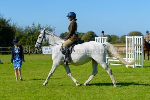 HOYS26-458
