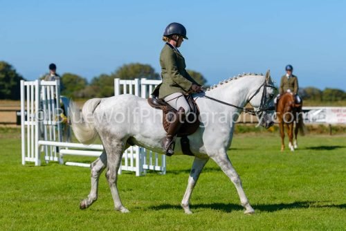 HOYS26-459