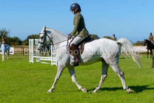 HOYS26-460