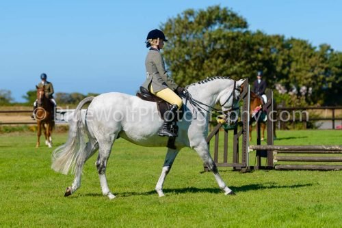 HOYS26-461