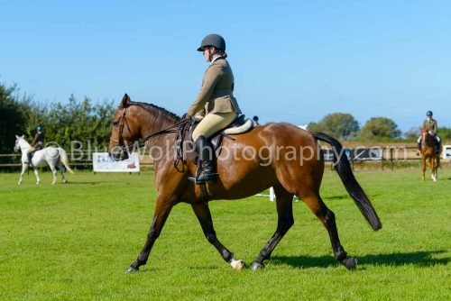 HOYS26-464