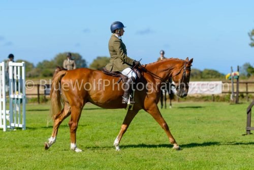 HOYS26-465