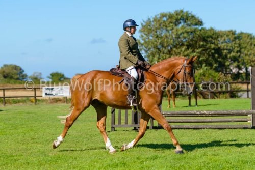 HOYS26-466