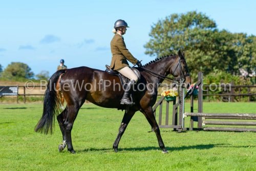 HOYS26-467