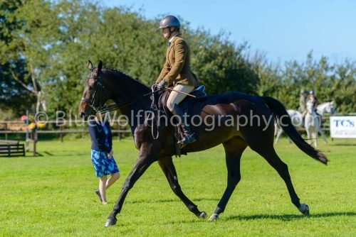 HOYS26-468