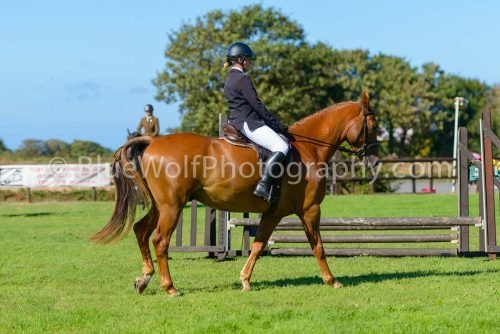 HOYS26-469