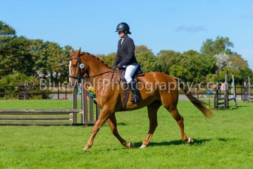 HOYS26-470