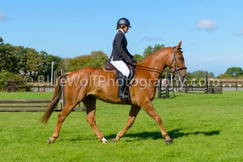 HOYS26-471