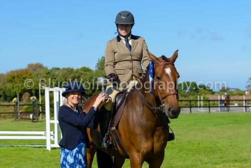 HOYS26-473