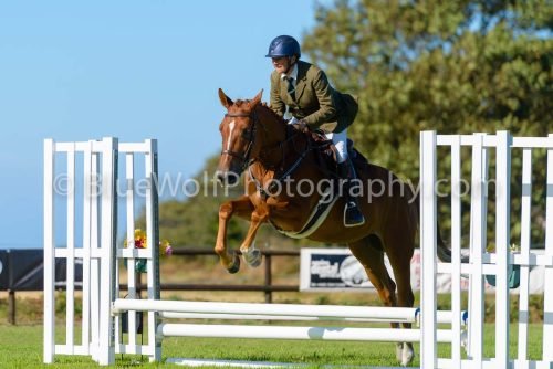 HOYS26-476