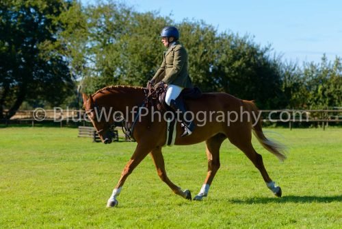 HOYS26-478