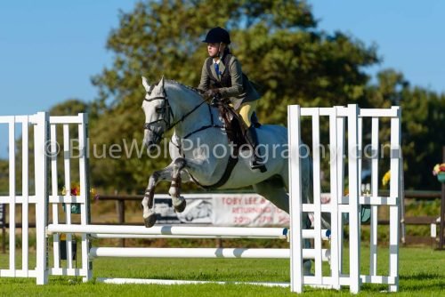 HOYS26-480