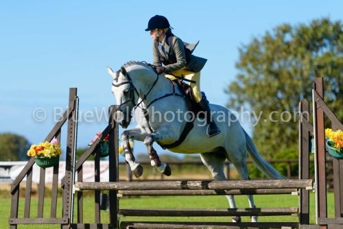HOYS26-481