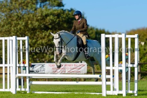 HOYS26-482