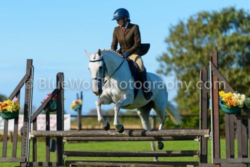 HOYS26-483