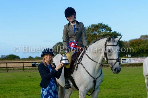 HOYS26-486