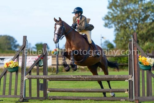 HOYS26-487