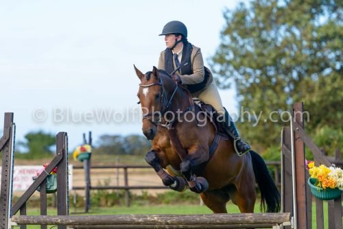 HOYS26-488
