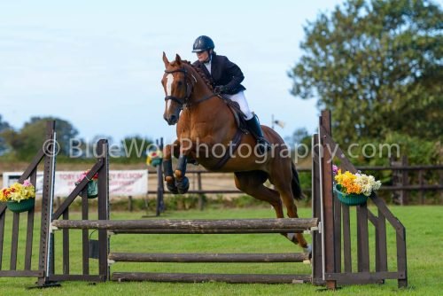 HOYS26-489