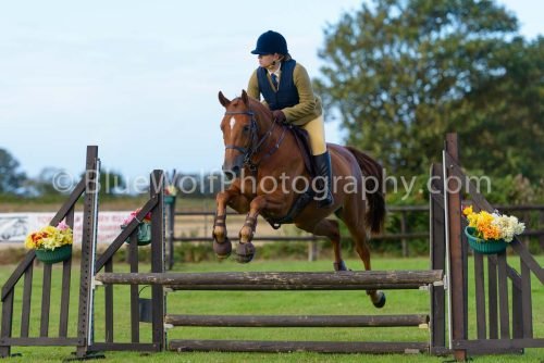 HOYS26-490