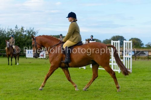 HOYS26-492