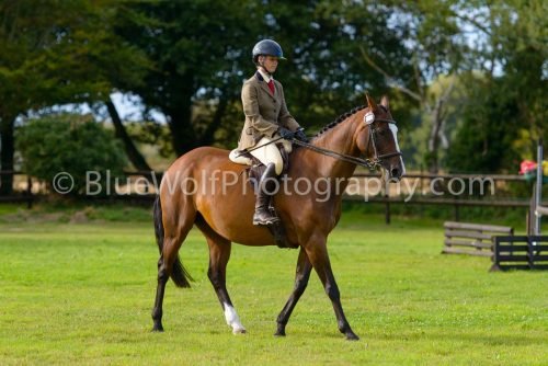 HOYS26-493