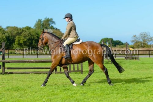 HOYS26-494
