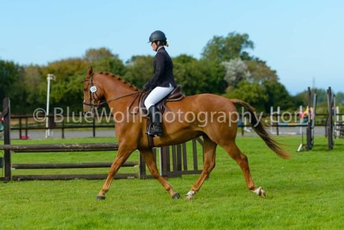 HOYS26-495