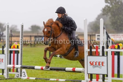 HOYS26-503