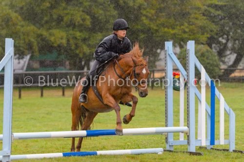 HOYS26-504