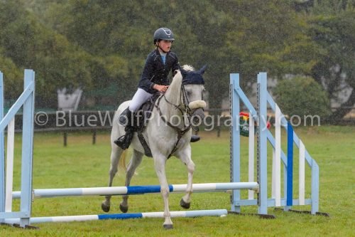 HOYS26-507