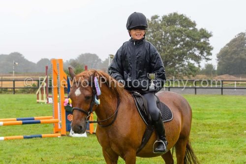 HOYS26-508