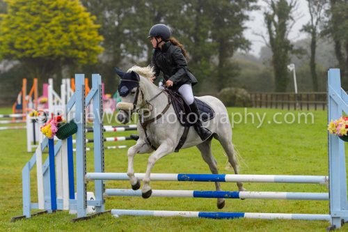 HOYS26-509