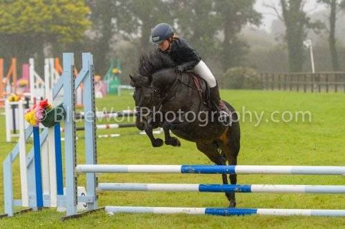 HOYS26-510