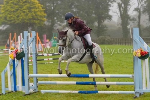 HOYS26-511