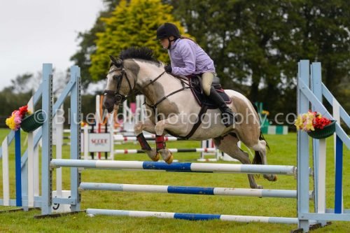 HOYS26-513
