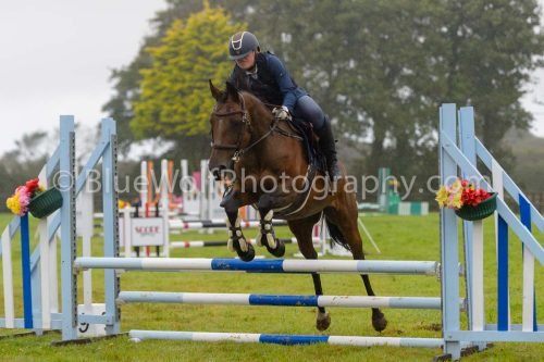 HOYS26-514
