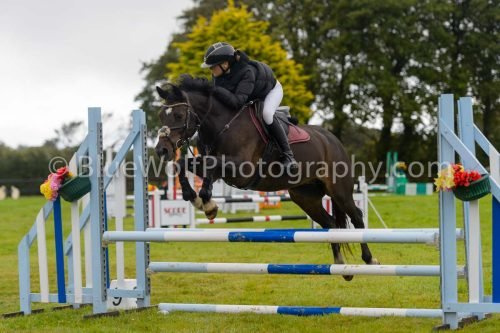 HOYS26-516