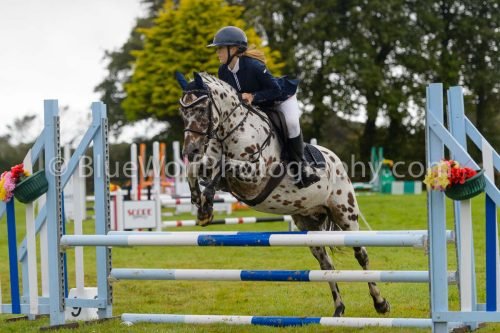 HOYS26-517