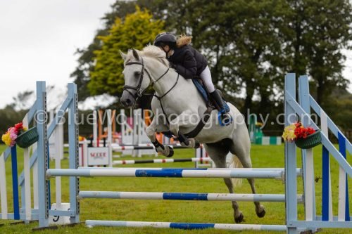 HOYS26-518