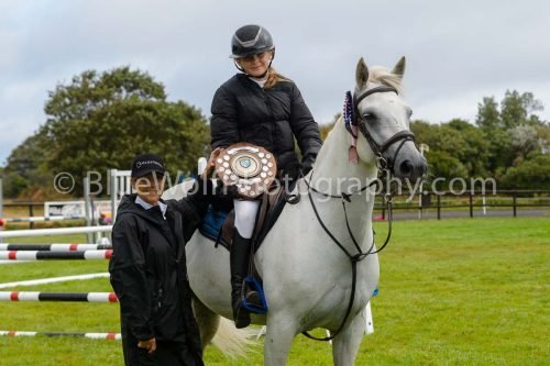 HOYS26-519