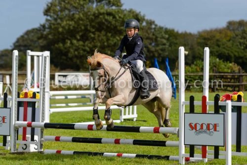 HOYS26-520