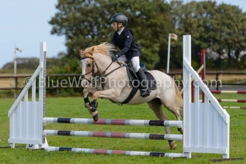 HOYS26-521