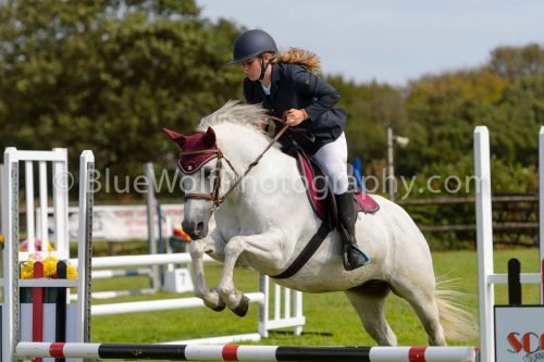 HOYS26-522