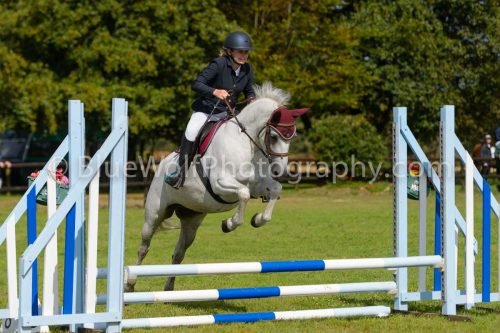 HOYS26-523