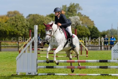 HOYS26-524