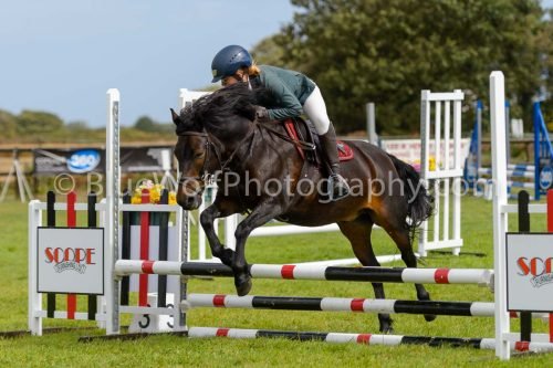 HOYS26-525