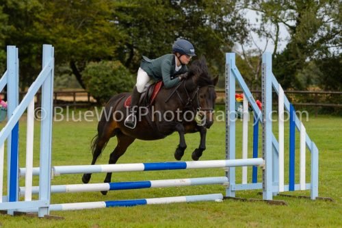 HOYS26-526