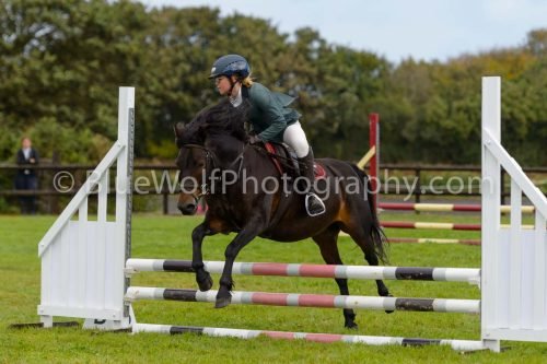 HOYS26-527