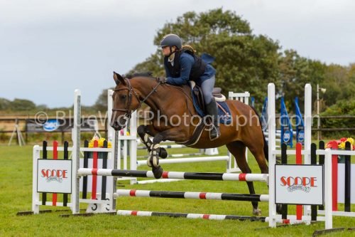HOYS26-528